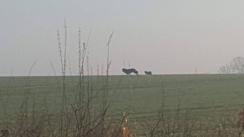 Zdjęcie: e-kg.pl