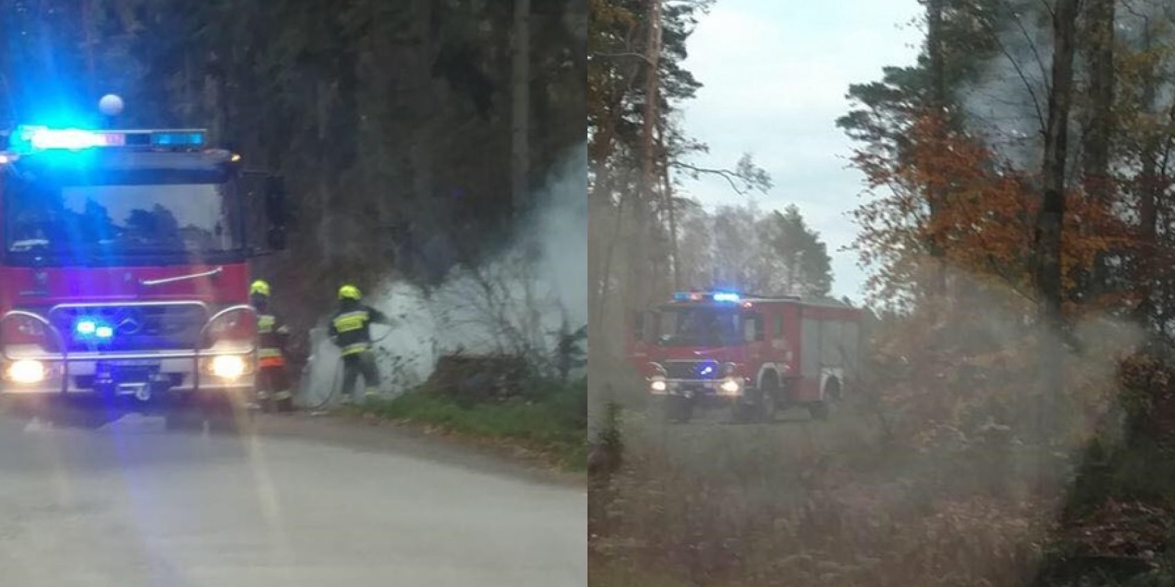 W lesie spłonął samochód osobowy SuperPortal24 Powiat