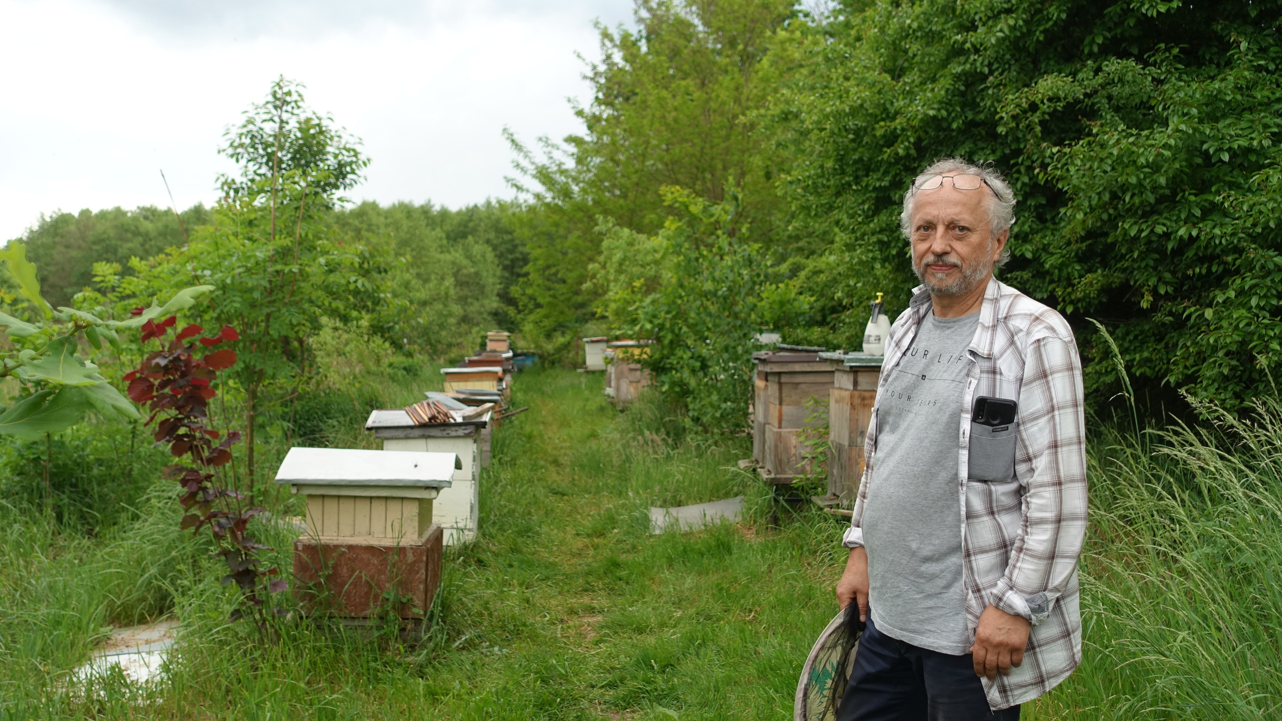 Aujourd’hui, c’est la Journée mondiale de l’abeille.  M. Mirosław sait tout d’eux !